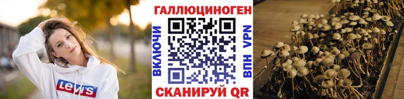 Псилоцибиновые грибы Psilocybine cubensis  блэк спрут tor  Отрадное 