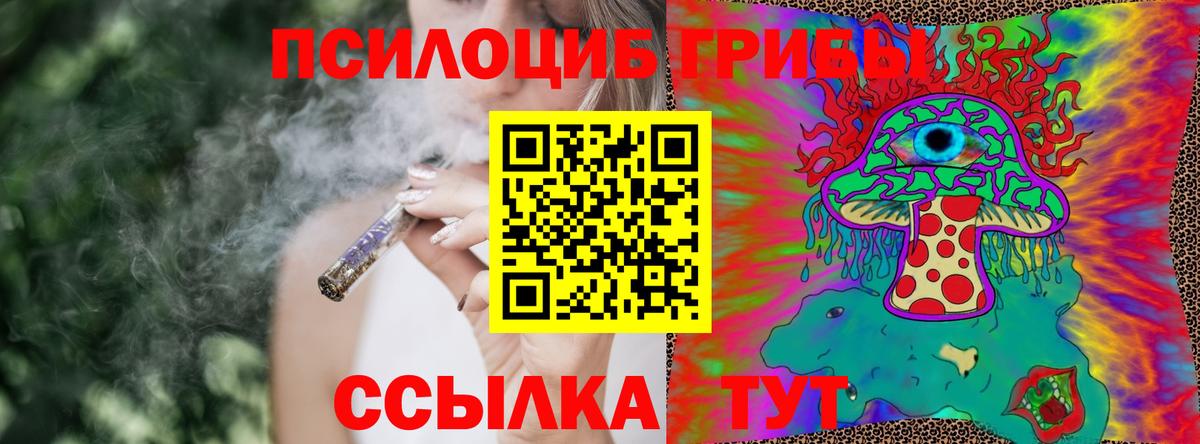 Псилоцибиновые грибы Psilocybe Отрадное