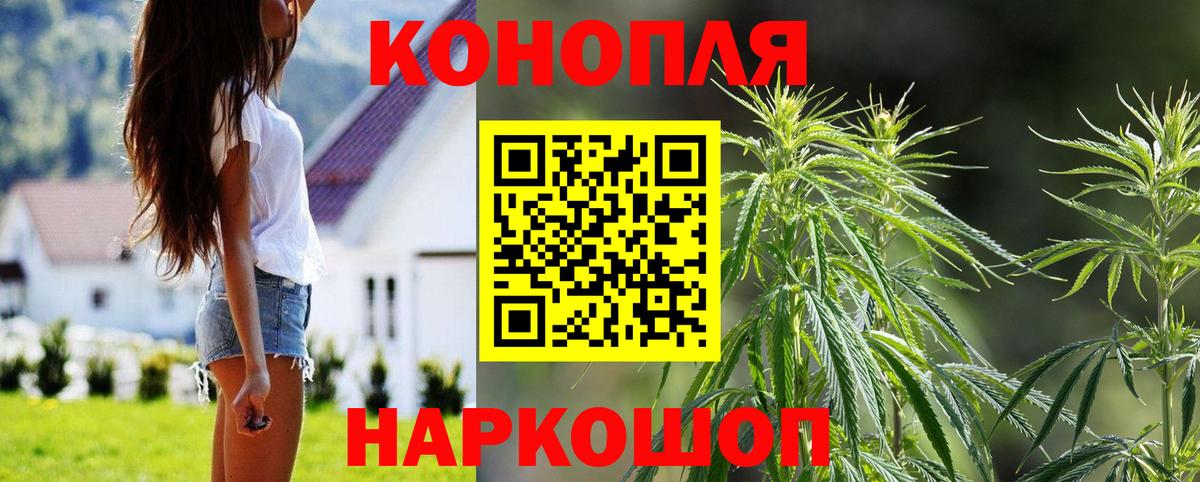 Каннабис планчик  Бошки Шишки OG Kush  Вход с VPN  Отрадное  Бошки Шишки Ganja 
